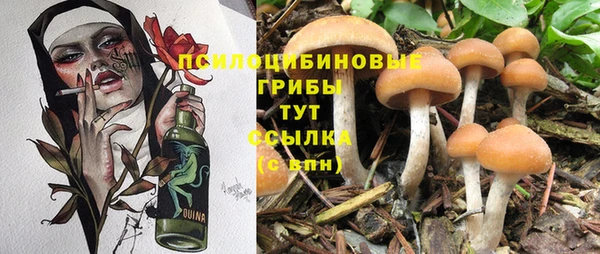 каннабис Гусев