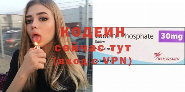 трава Гусиноозёрск