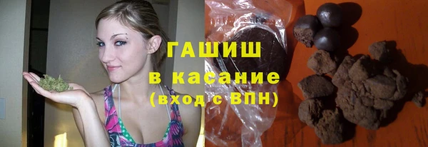 трава Гусиноозёрск
