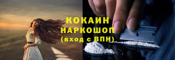 трава Гусиноозёрск