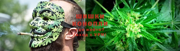 каннабис Гусев