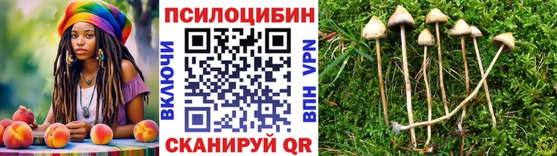 Псилоцибиновые грибы мухоморы  Купить  Зерноград 